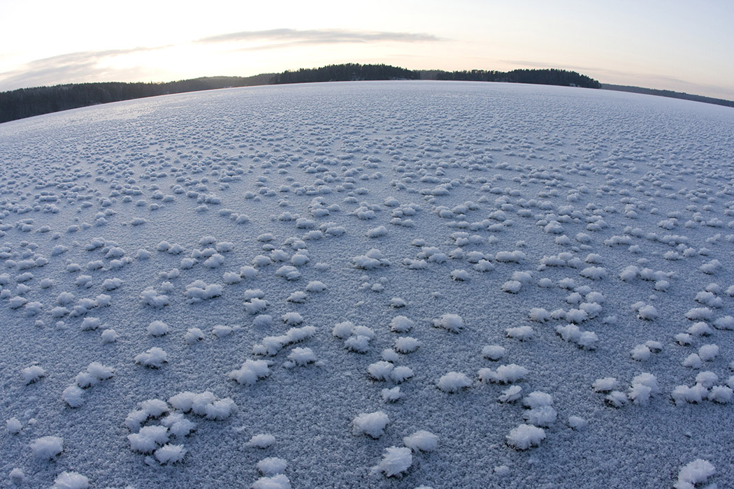 Frost flowers ona lake, Karjalohja, Finland